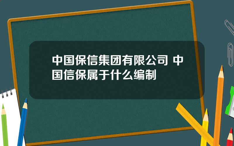 中国保信集团有限公司 中国信保属于什么编制